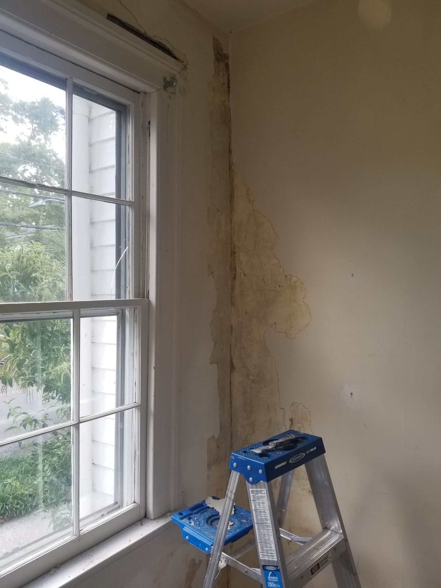 A ladder is sitting next to a window in a room.
