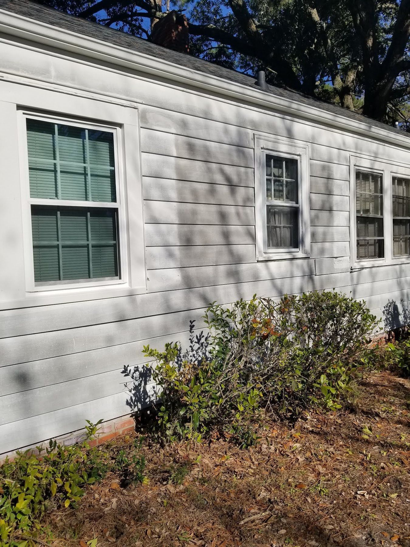 A white house with a lot of windows and bushes in front of it.