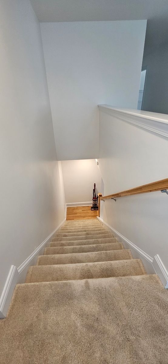 Staircase with carpeted steps, white walls, and a wooden handrail.