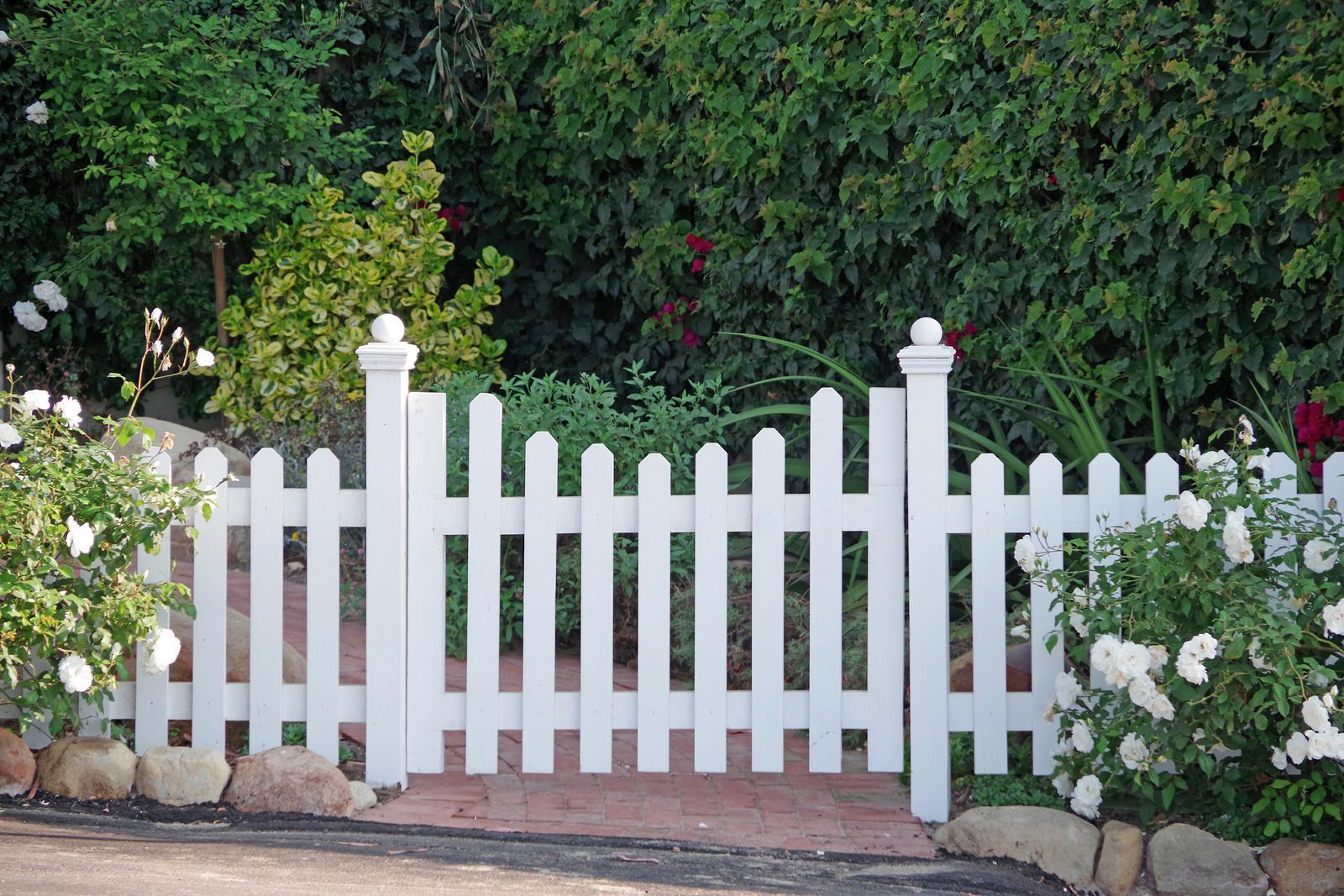 A white picket fence surrounds a lush green garden