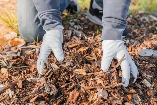 A Person Wearing White Gloves is Picking Up Wood Chips From the Ground — Andrew Johnston Haulage In Ballina, NSW