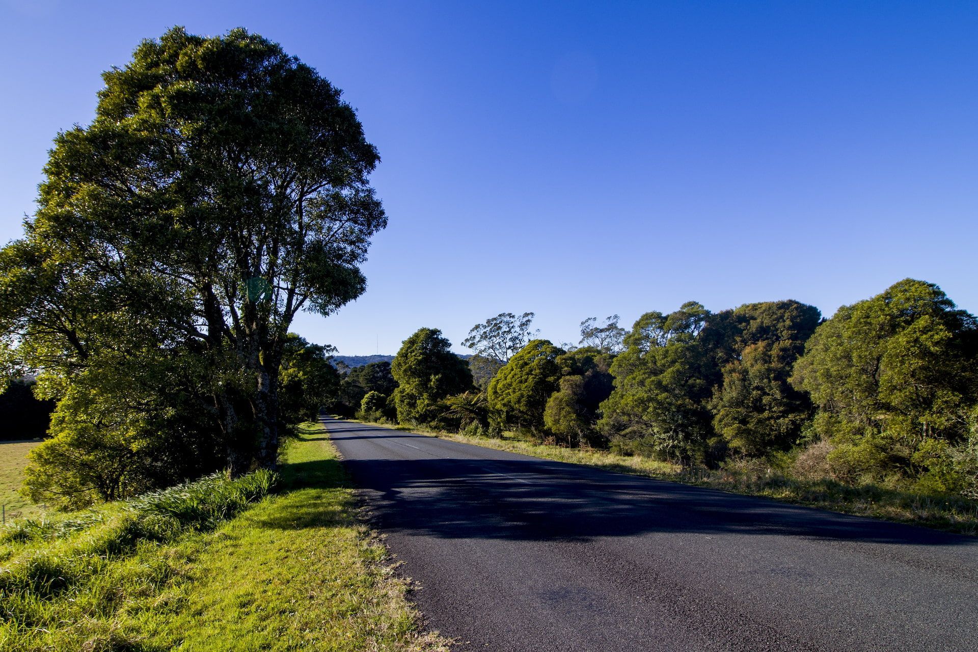 A Road With Trees on Both Sides and a Blue Sky — Andrew Johnston Haulage In Clunes, NSW