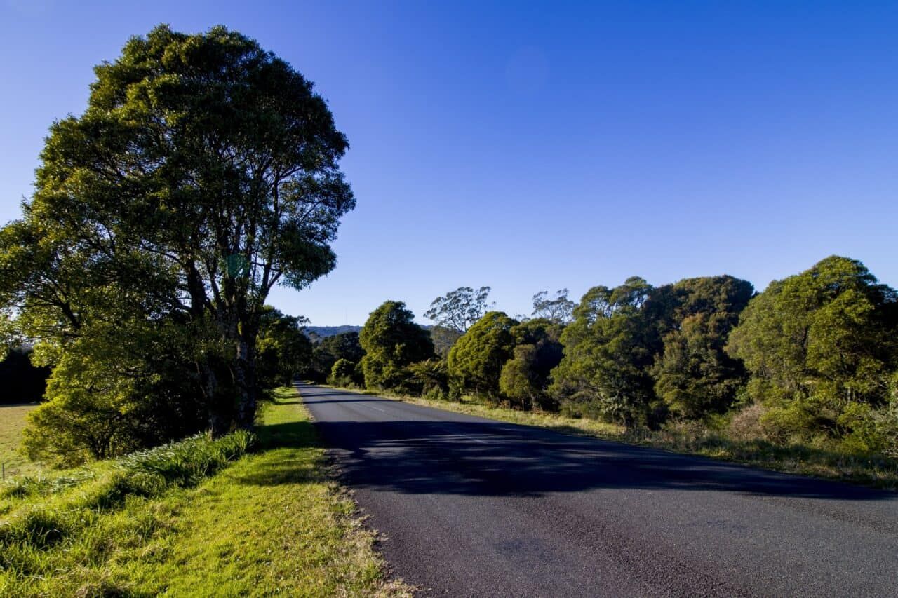 A Road With Trees on Both Sides and a Blue Sky — Andrew Johnston Haulage In Clunes, NSW