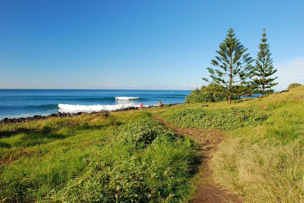 A Path Leading to the Ocean With Trees on the Side — Andrew Johnston Haulage In Lennox Head, NSW