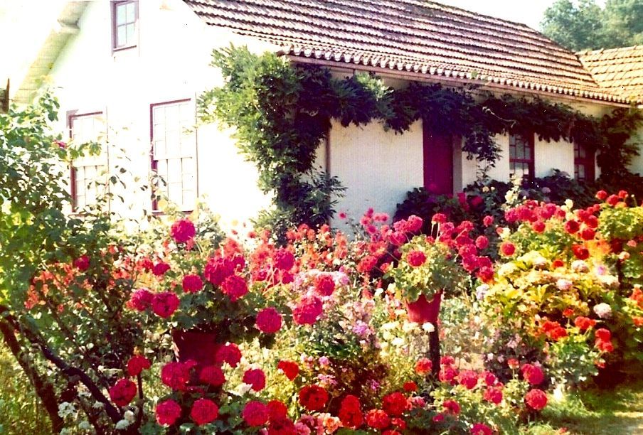 Uma casa branca com porta vermelha cercada por flores