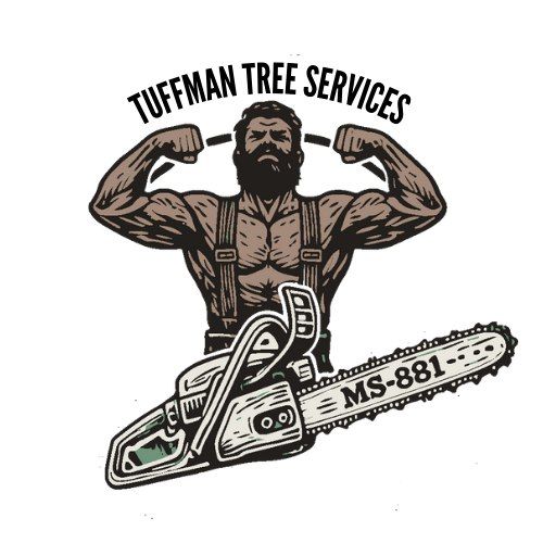 A residential house with a green tree and various shrubs in the front yard mulched garden bed.