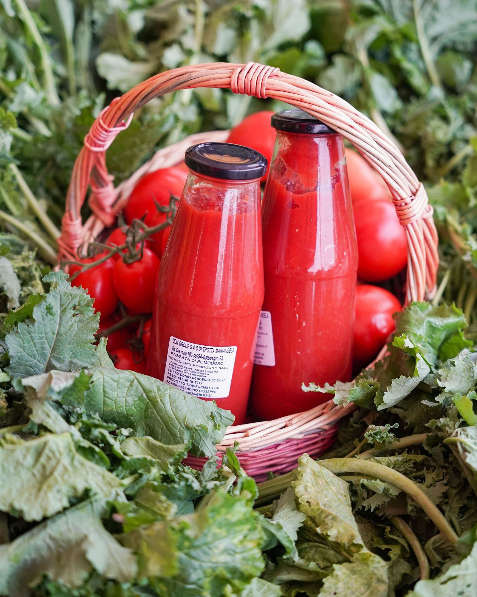Due bottiglie di salsa di pomodoro in un cesto con pomodori, circondati da foglie verdi.
