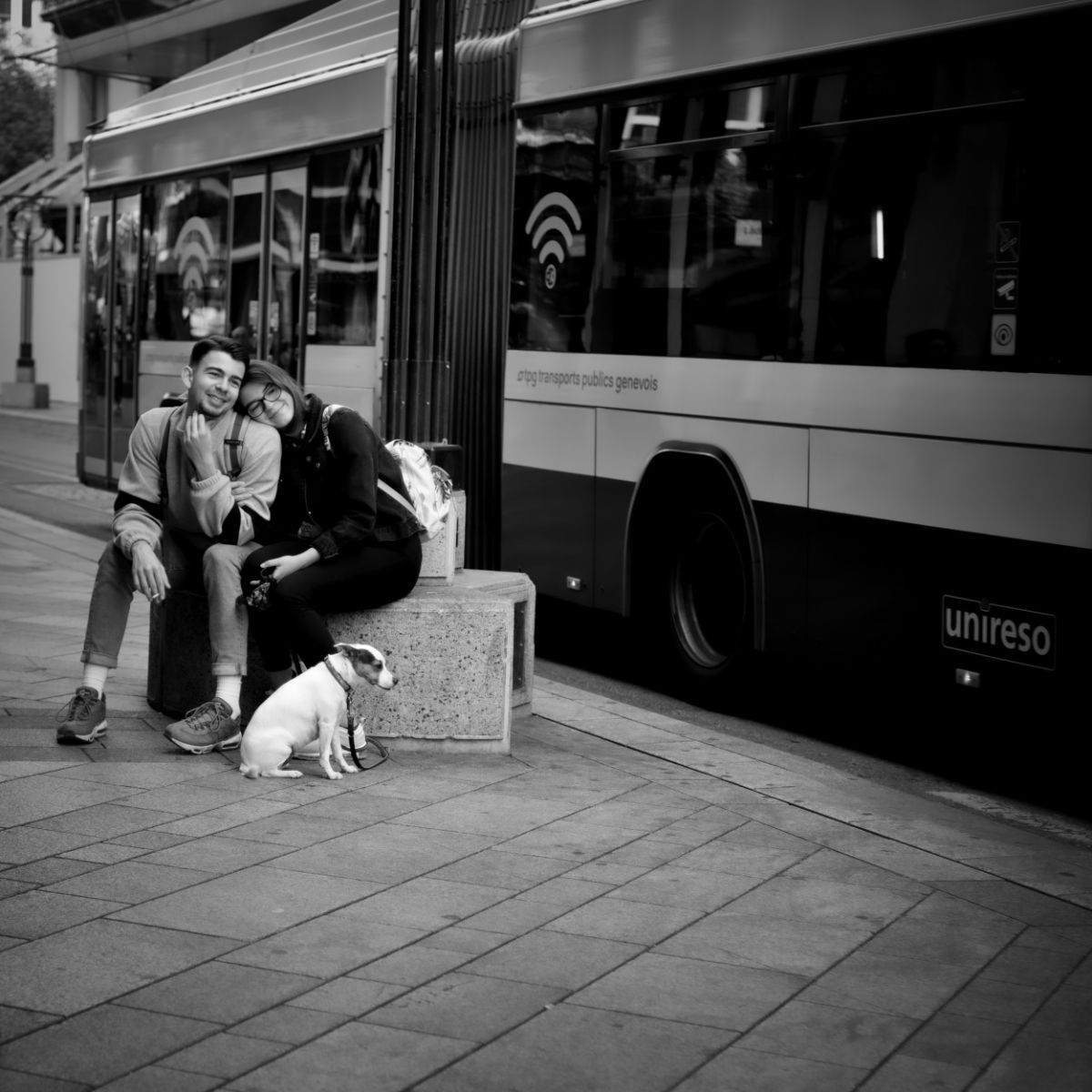 Un couple est assis sur un banc avec un petit chien à un arrêt de bus. Un bus est stationné à proximité.
