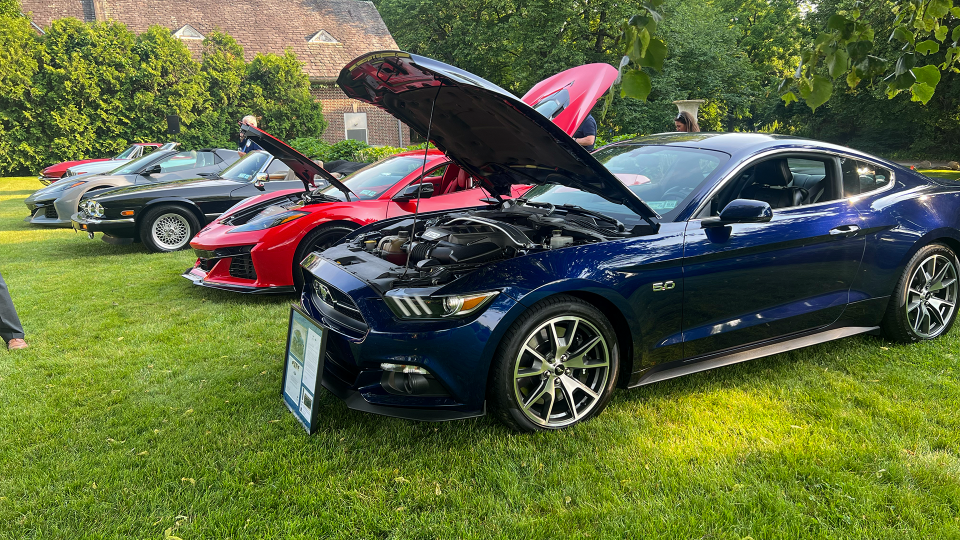 Long Island Car Show