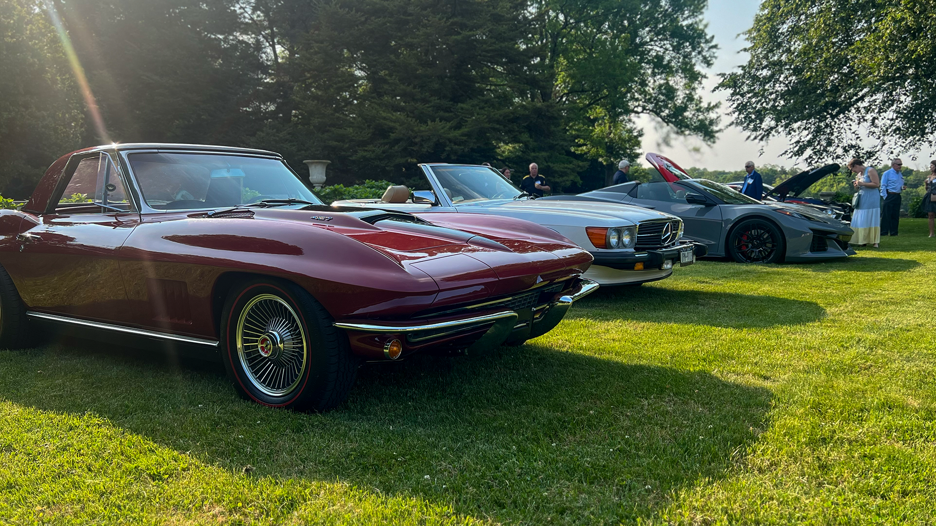 Long Island Car Show