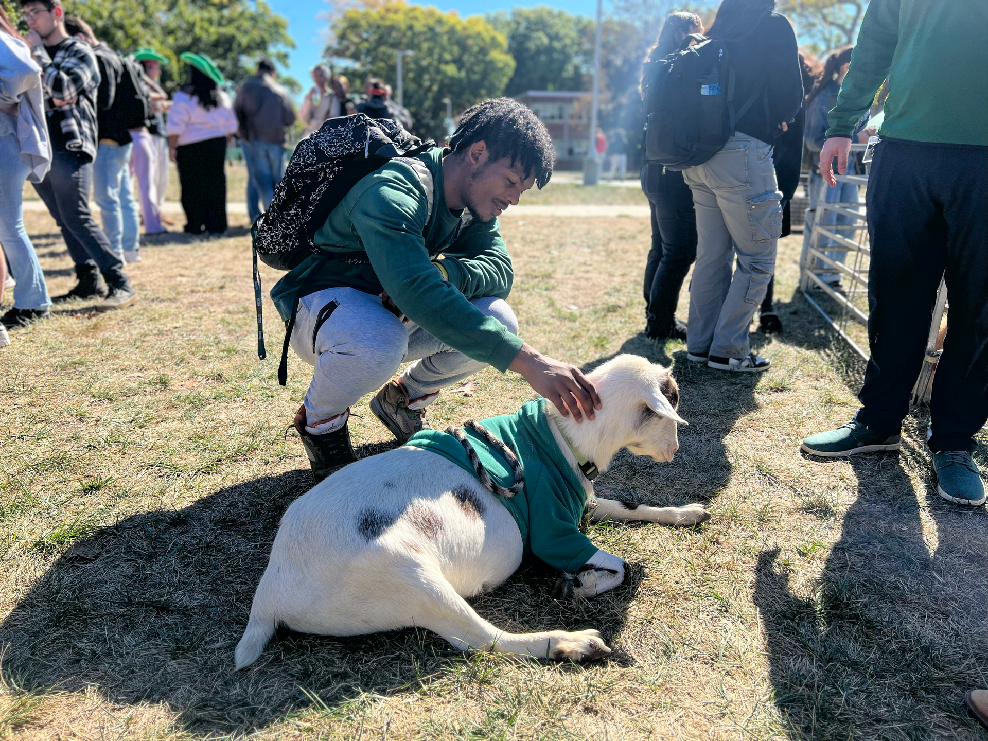 Student Petting a goat at a university petting zoo