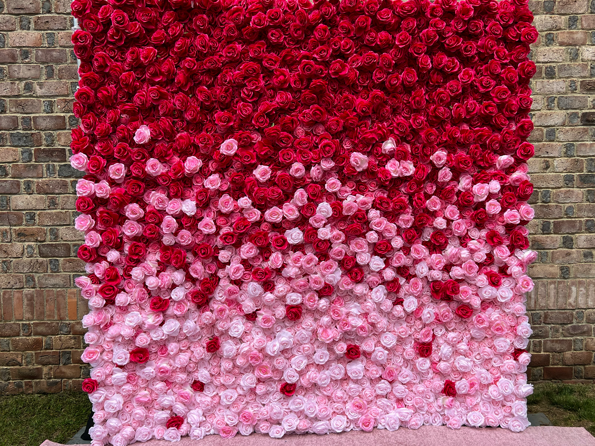 Beautiful Flower Wall