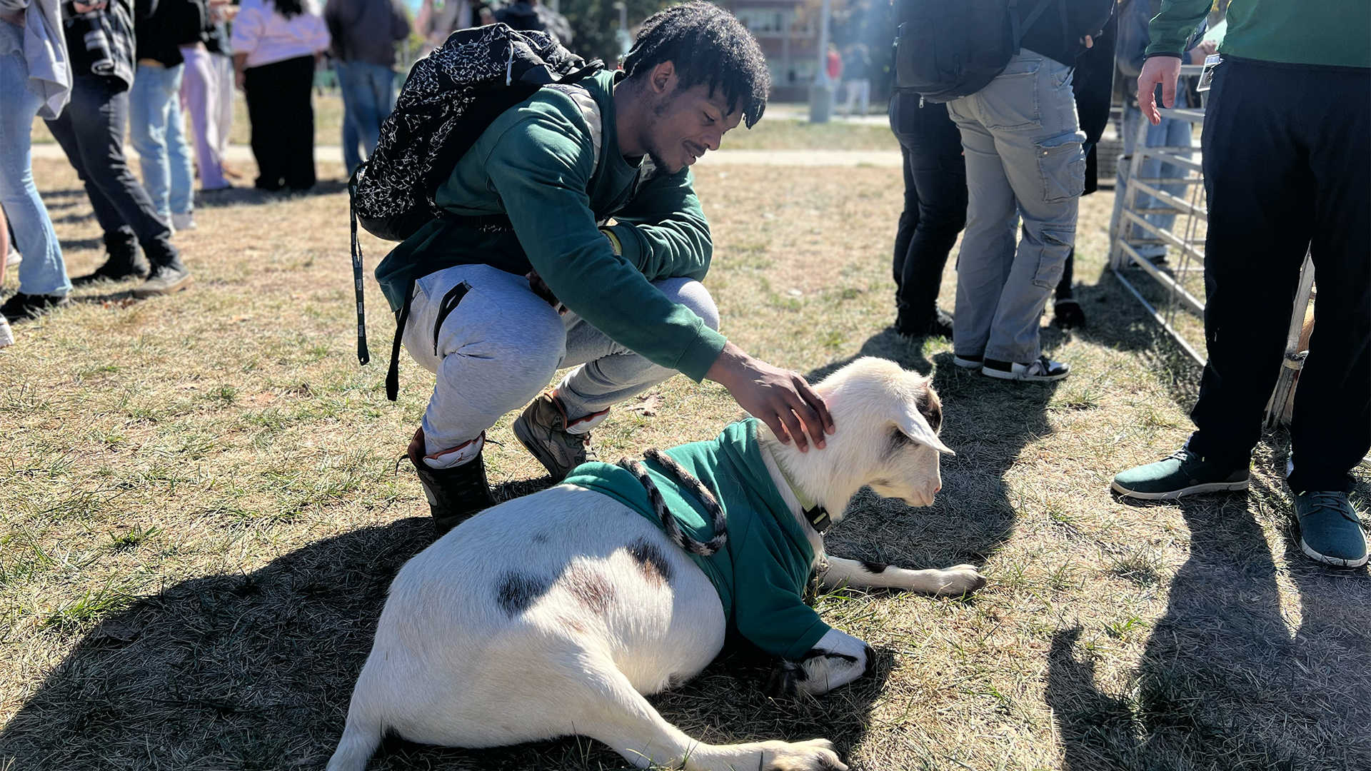 a student petting a goat at a petting zoo.