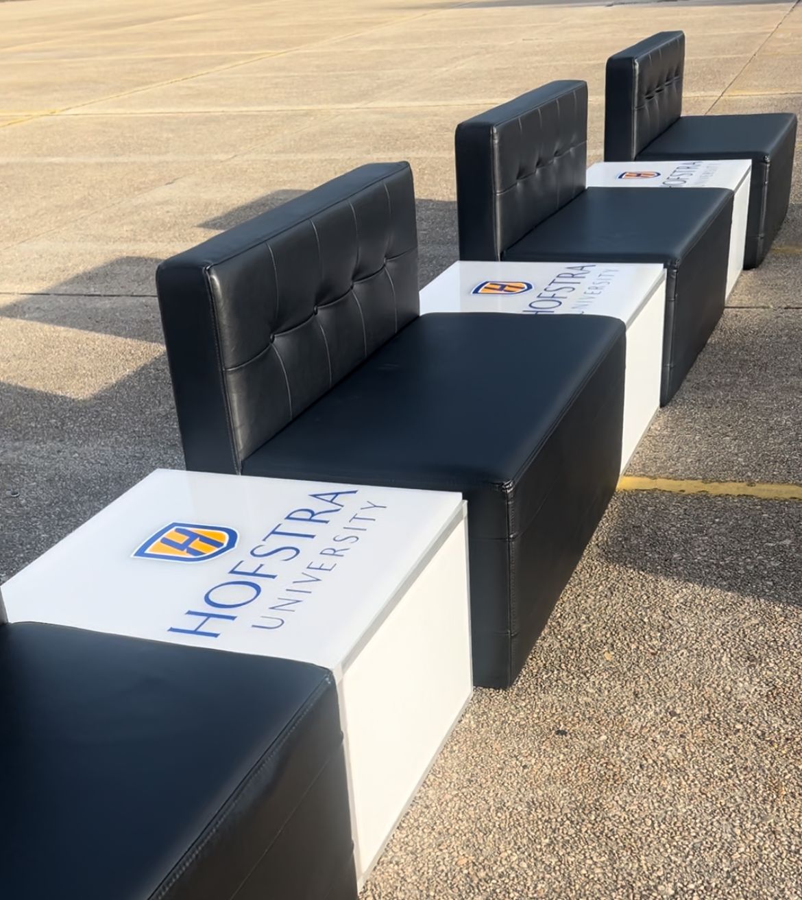 Custom Collegiate Lounge furniture