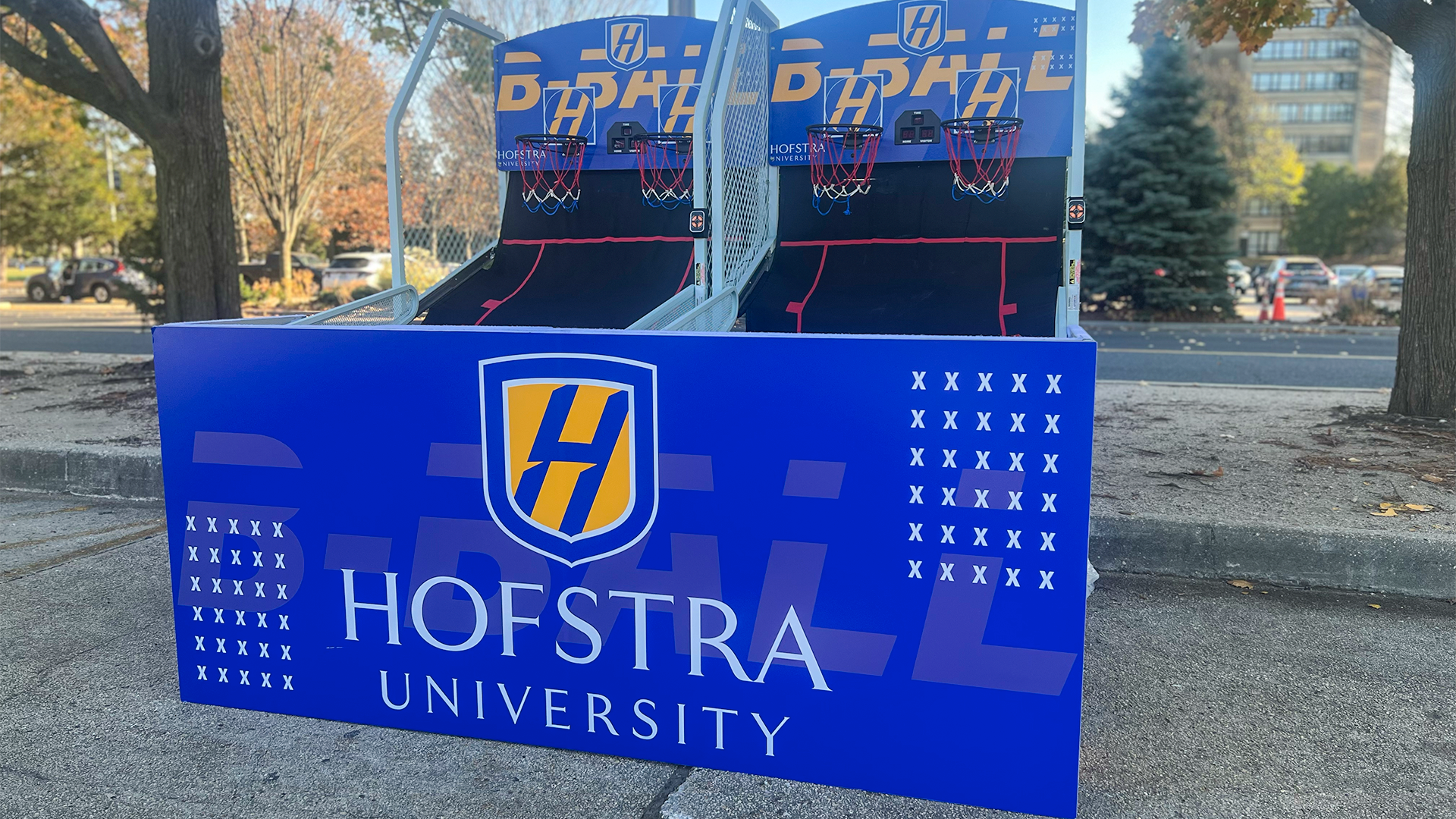 Custom Hofstra Basketball Game