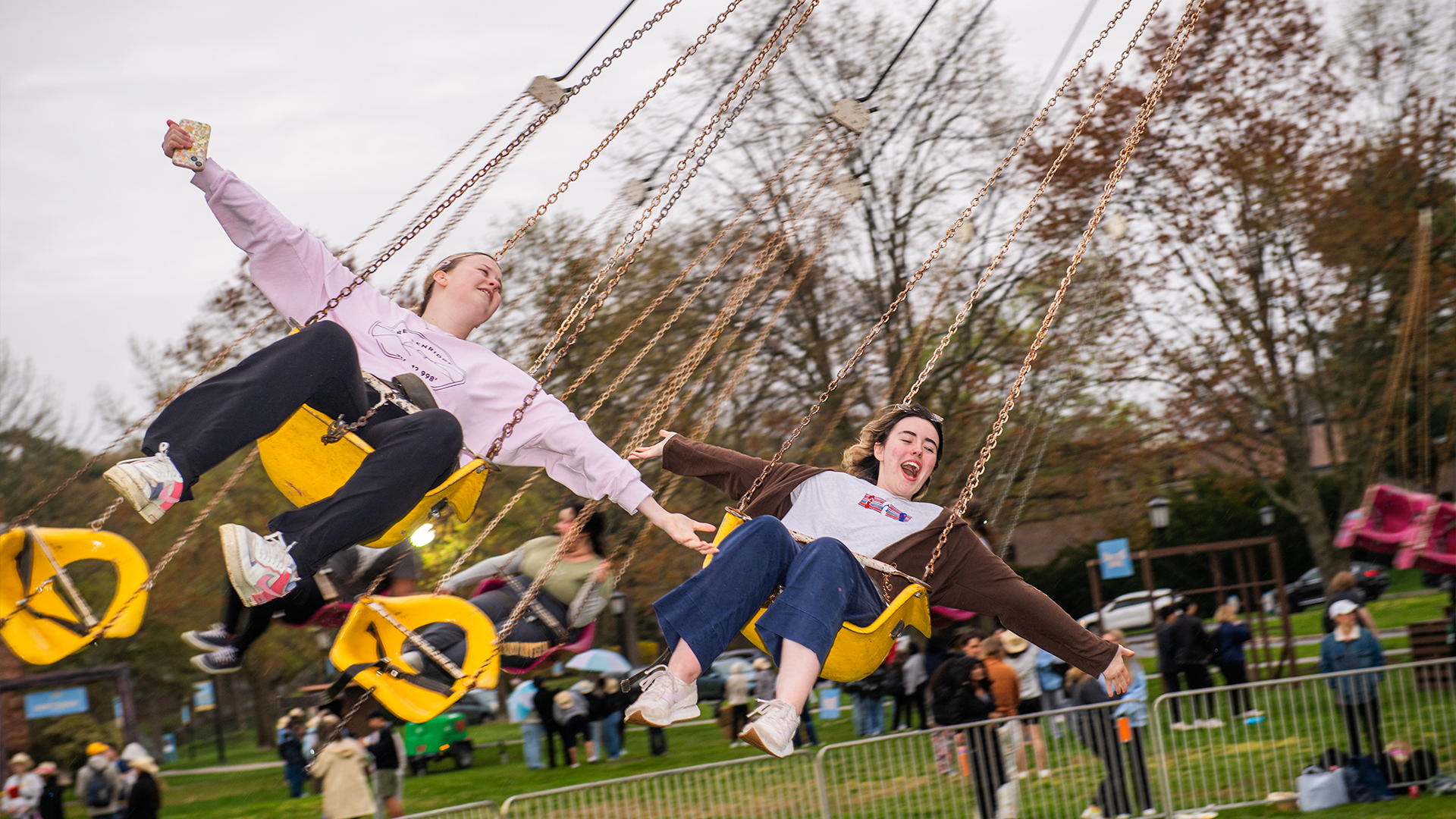 Giant Mechanical Swings