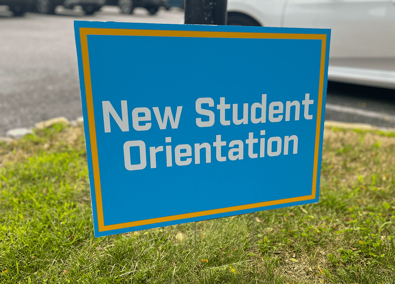Custom Lawn Sign