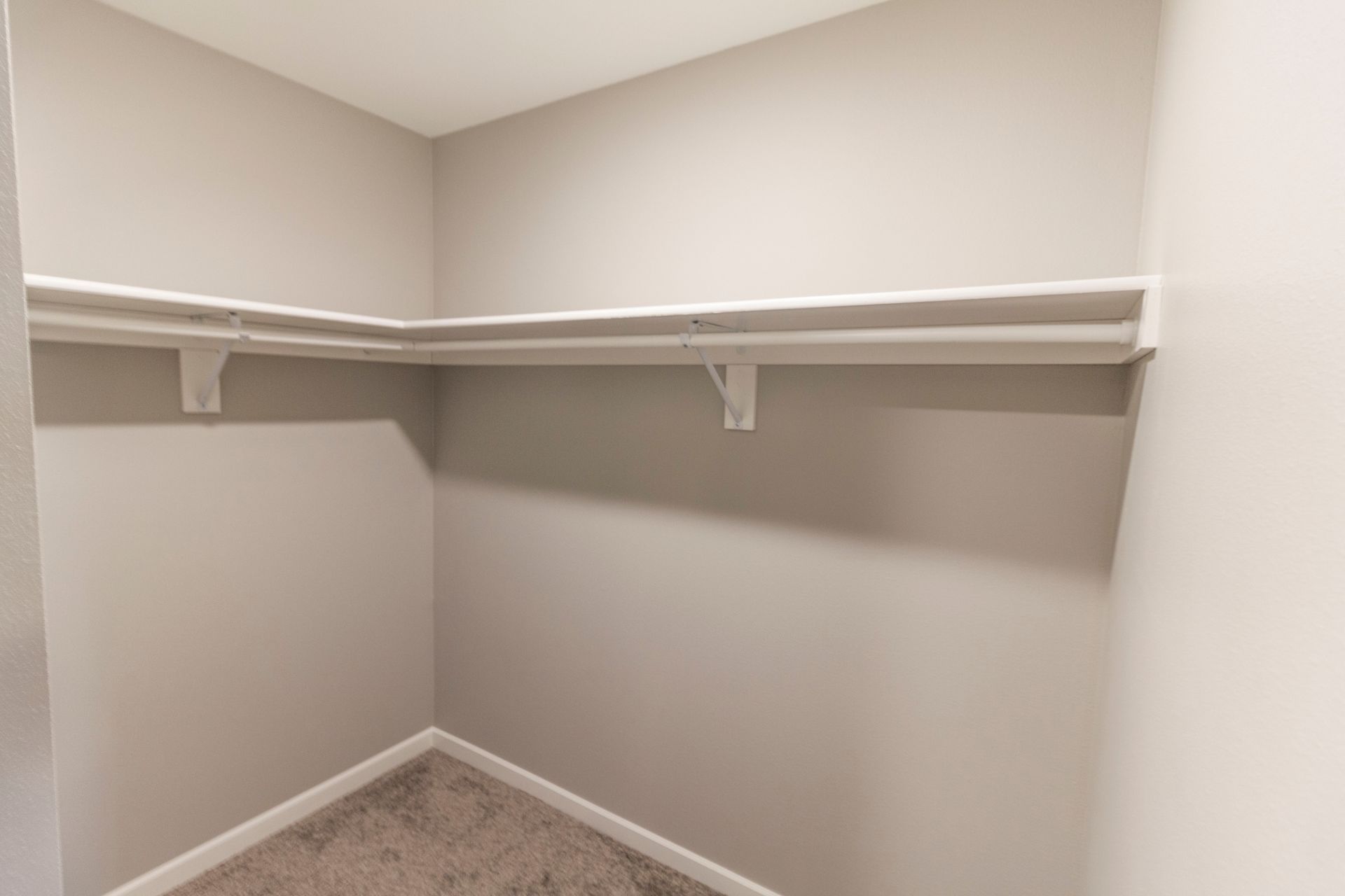 Empty closet with gray walls, a white shelf, and carpeted floor. The corner of the closet is visible.