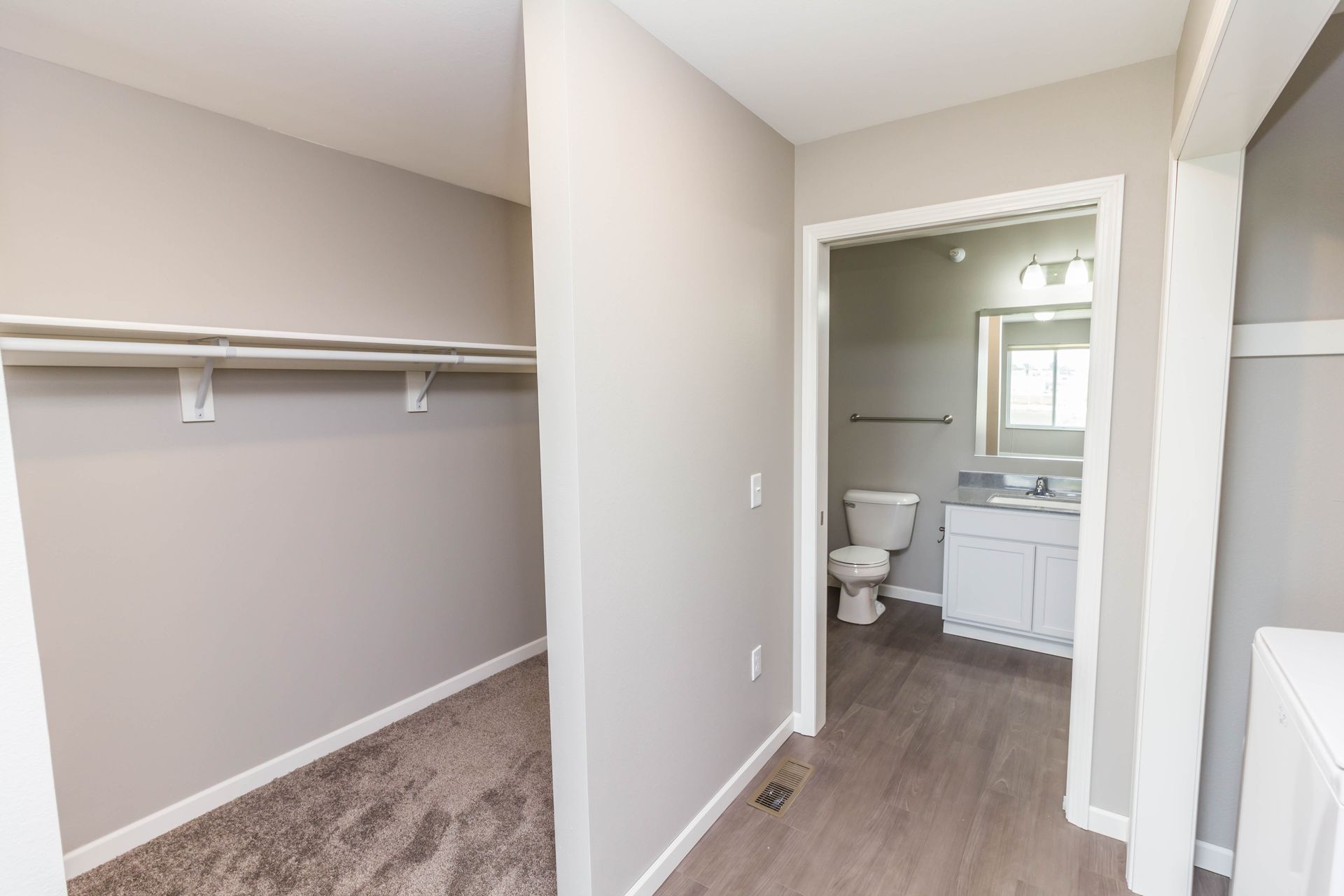 Hallway with a walk-in closet on the left and a bathroom visible on the right. The walls are gray and the flooring is a mix of carpet and wood.