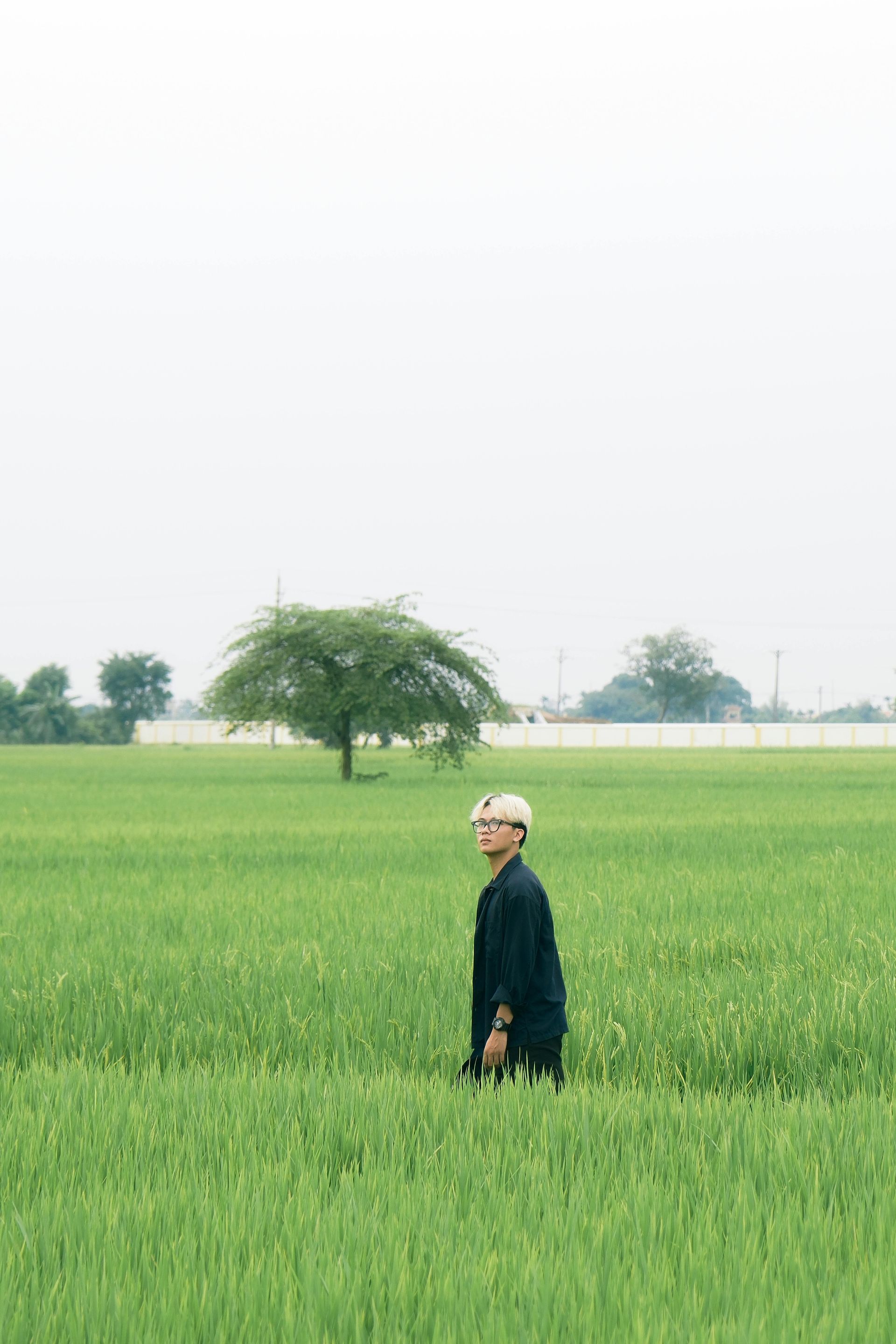 Person in black outfit and cap standing in a vibrant green rice field. A tree is in the distance. Overcast sky.