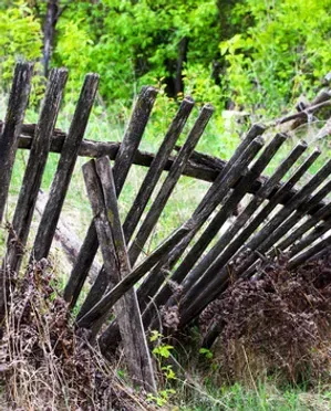 Old, weathered wooden fence, tilting with age, in a grassy field with green foliage.