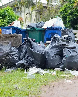 Trash bags overflowing next to bins, litter on grass, residential setting.