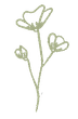 Un disegno di tre fiori su uno stelo su uno sfondo bianco.