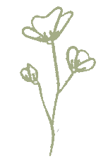 Un disegno di tre fiori su uno stelo su uno sfondo bianco.