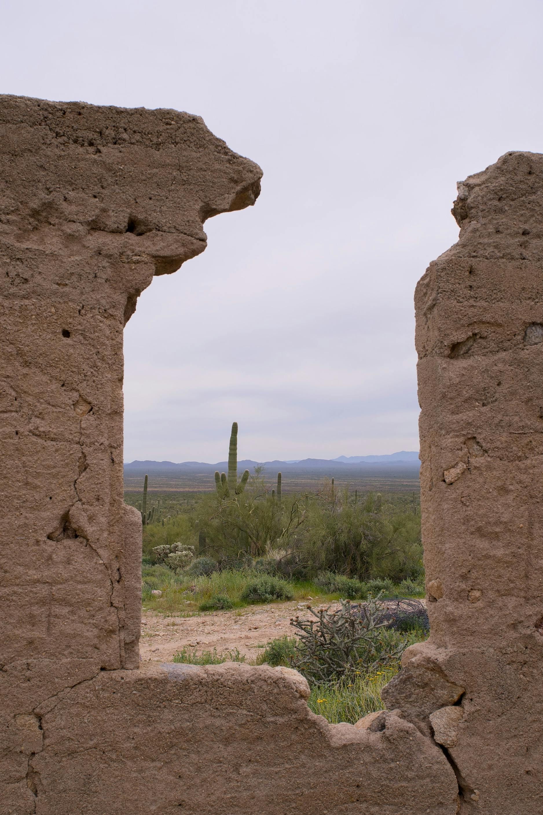 View of desert landscape through a weathered, broken adobe wall opening. Cactus visible.