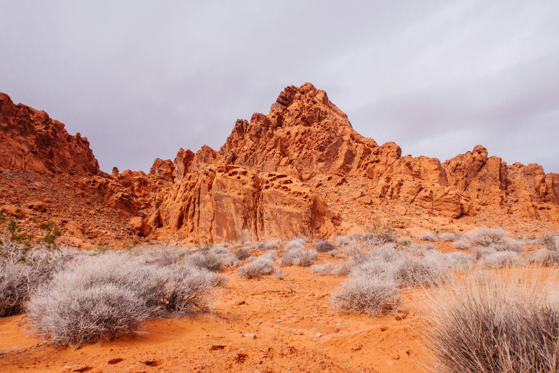 Red rock formations in a desert landscape with gray-green shrubs, under an overcast sky.