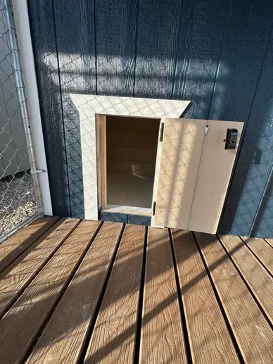 inside dog kennel