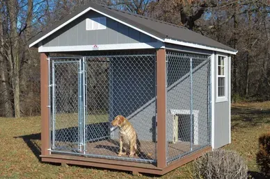 single dog kennel