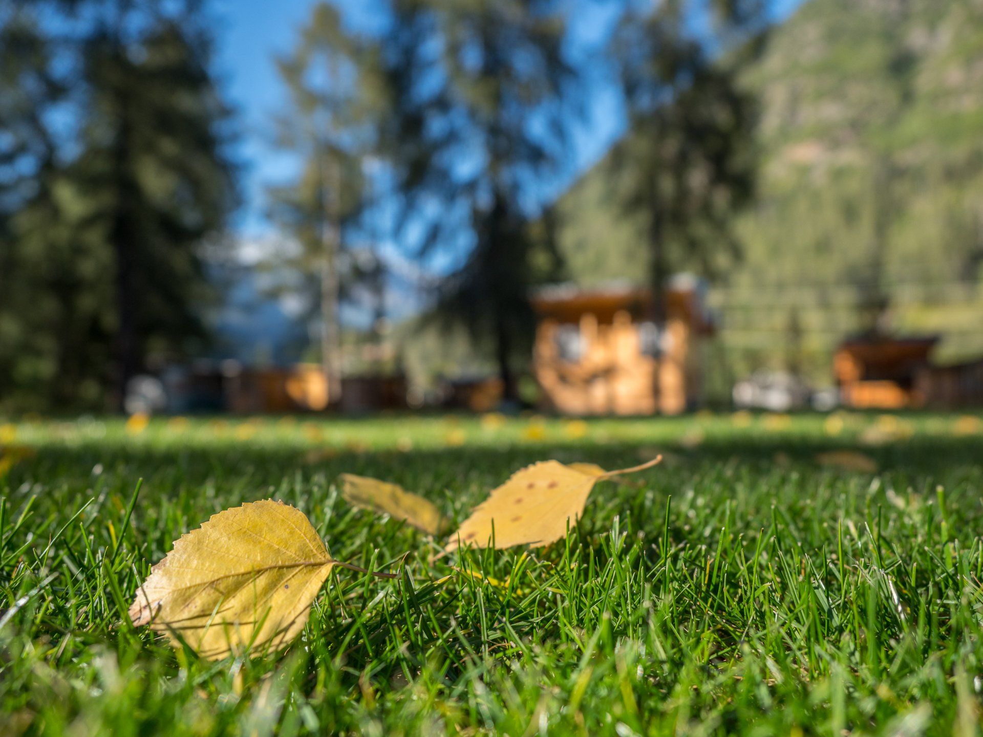 Camping I Larici — photo 3