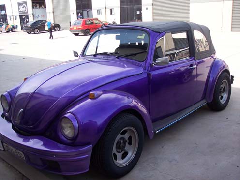purple beetle 1