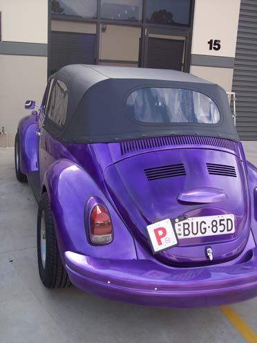 purple beetle