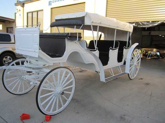 white horse drawn carriage