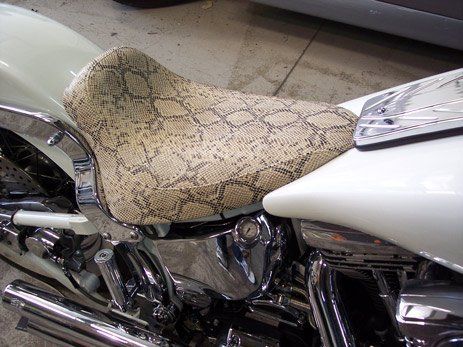 snake print seat