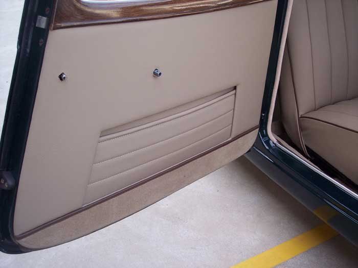 premium door panel brown