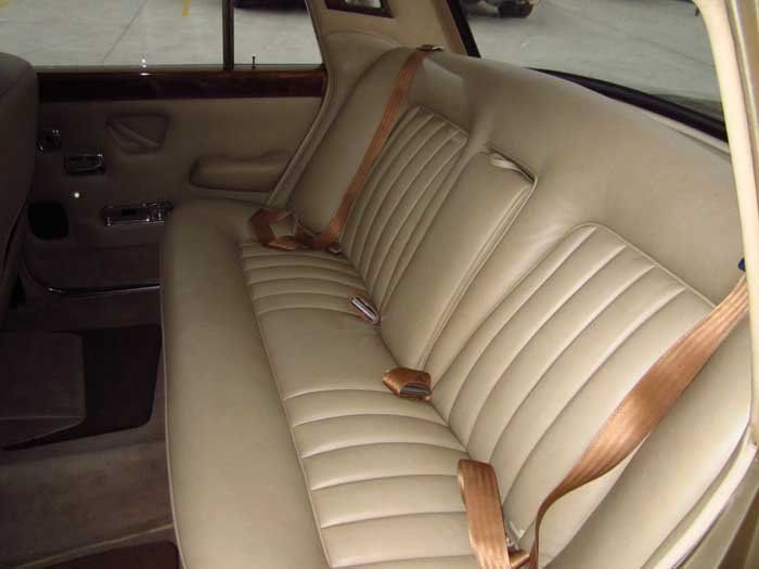 brown custom seat belt
