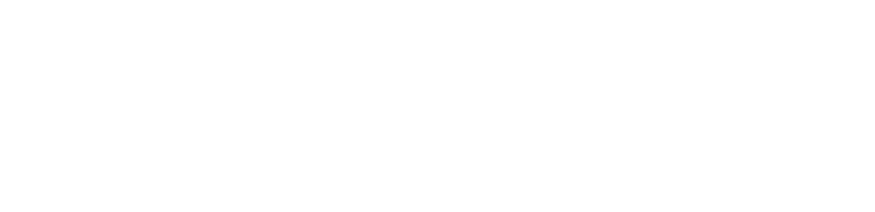 Law Offices of Alvin F. de Levie & Associates