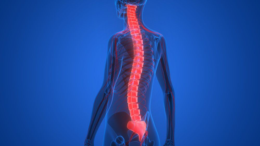 computer diagram of a spinal cord injury 