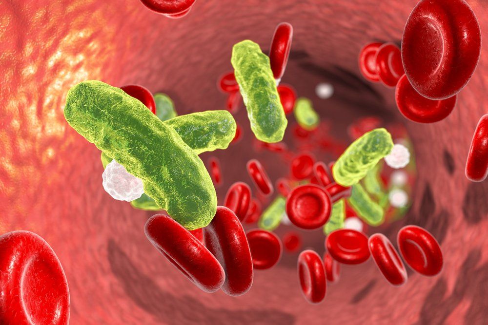 infection in the bloodstream