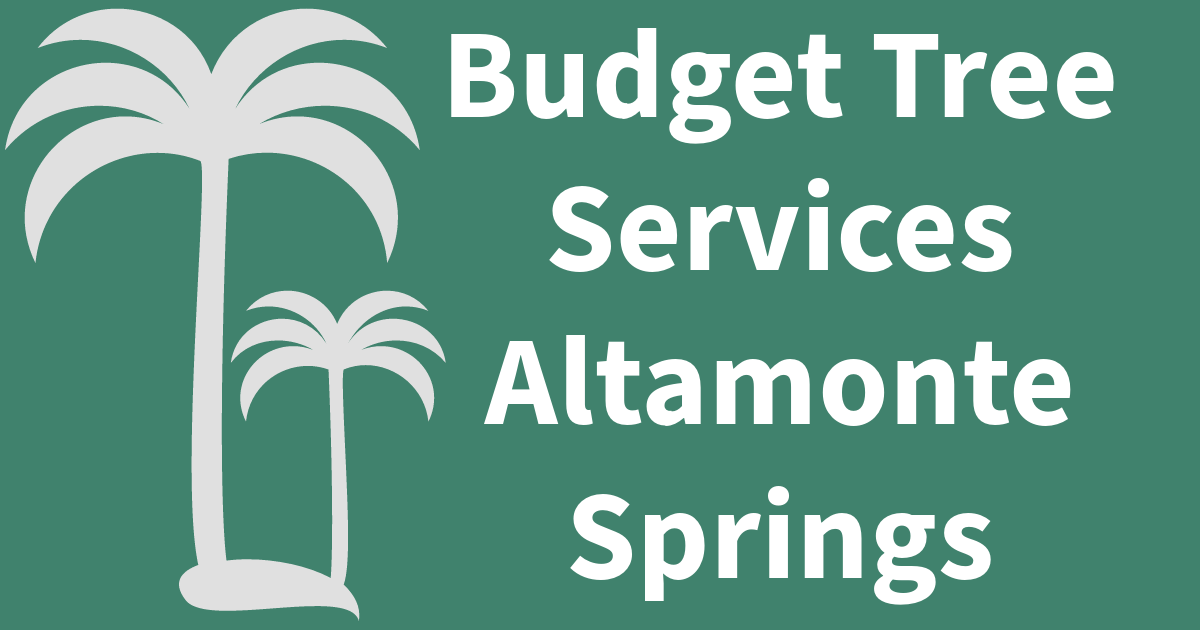 Tree Services in Altamonte Springs FL Budget Tree Services Altamonte