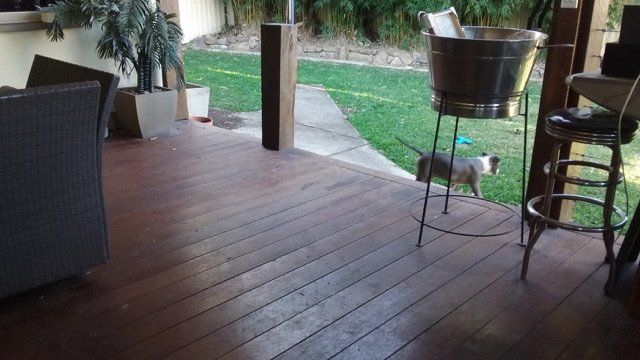 patio overlooking concrete path