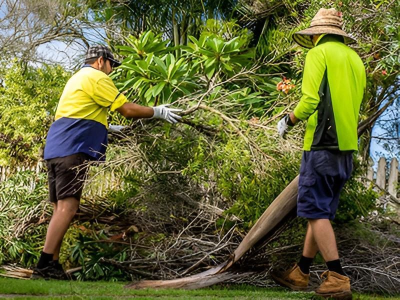 Two People in Work Clothes, Trimming Branches Outdoors — Bobs Bags & Bins in Mackay, QLD