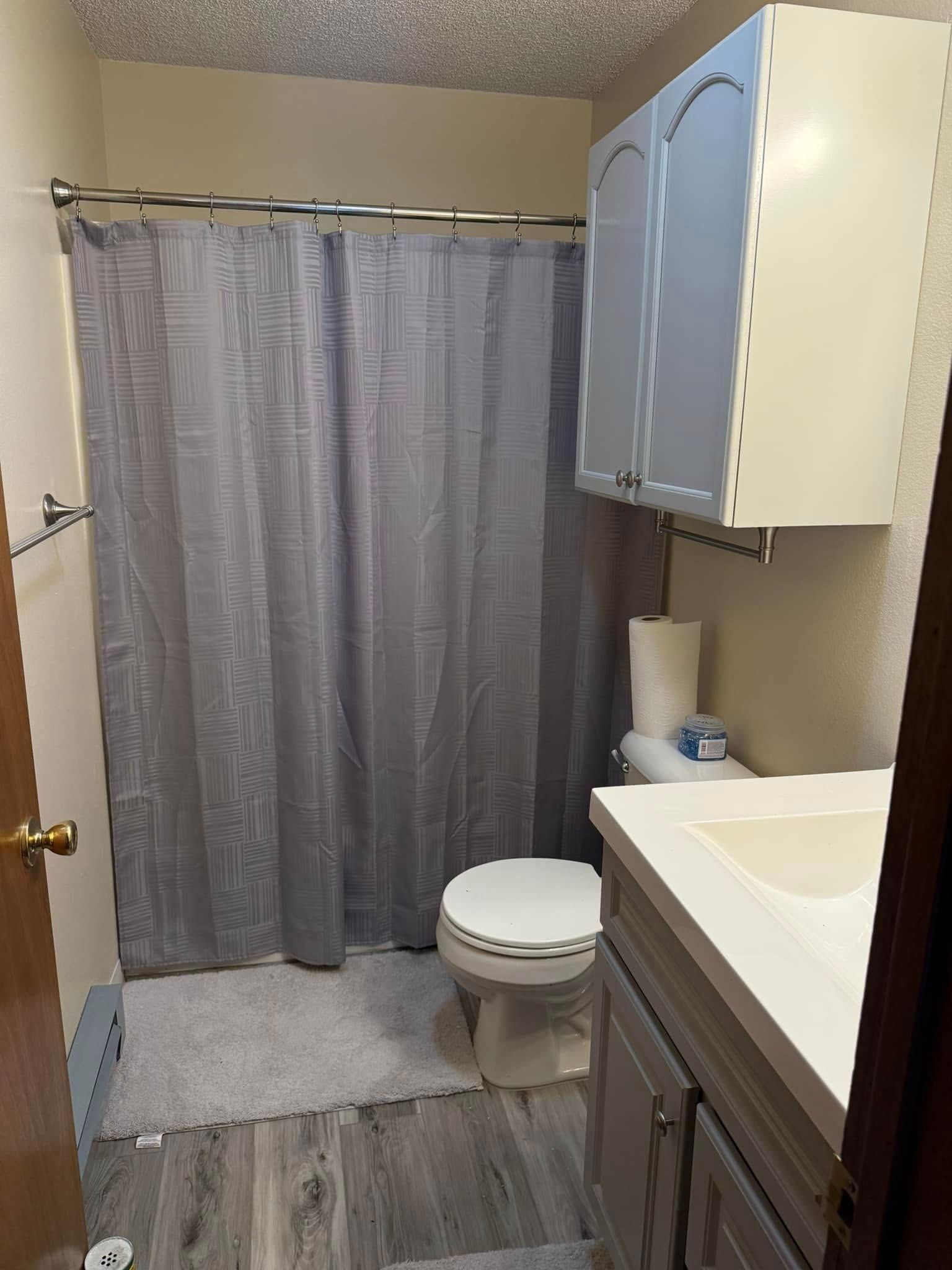 A bathroom with a toilet , sink and shower curtain.
