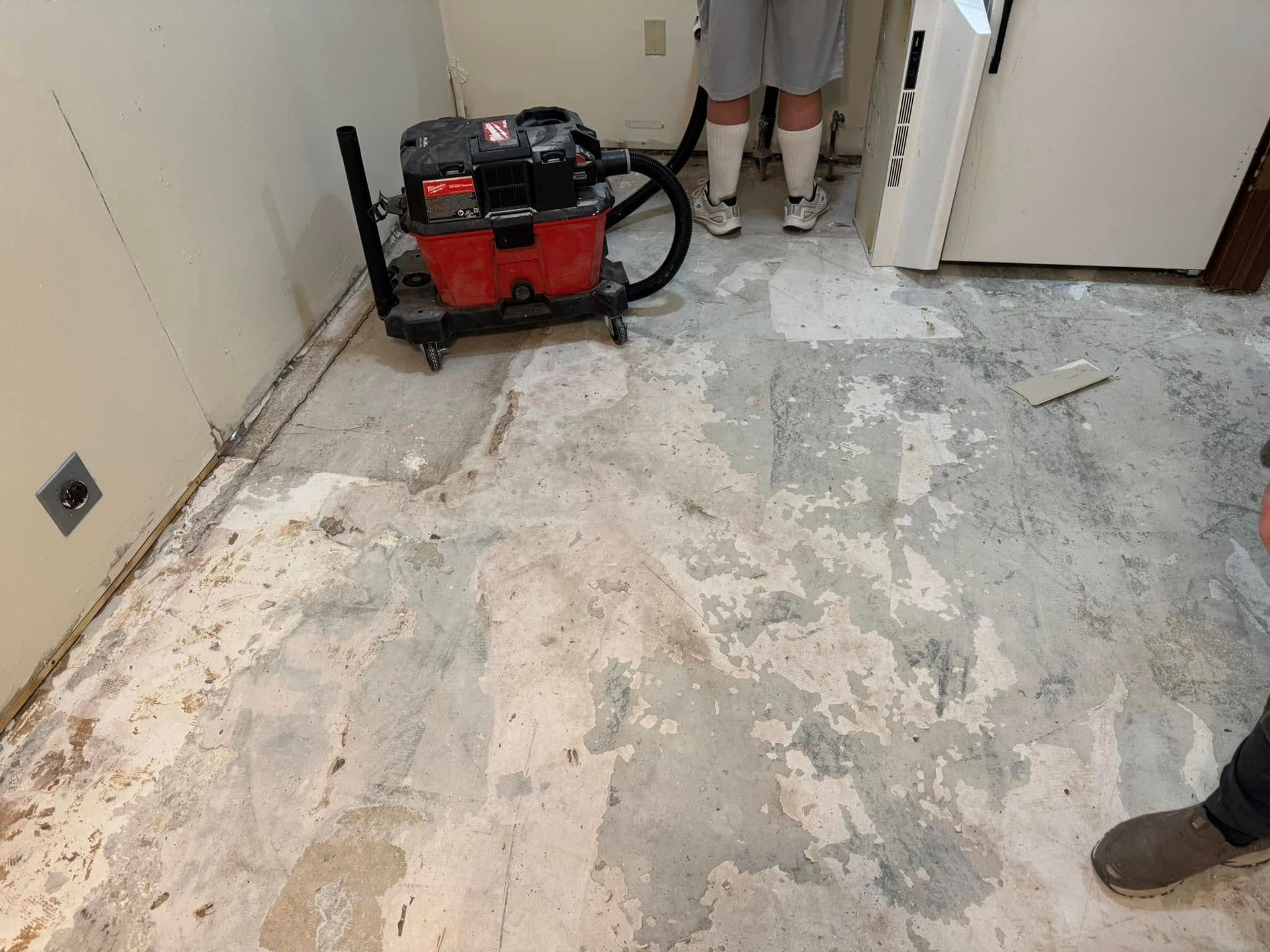 A vacuum cleaner is sitting on the floor in a room.