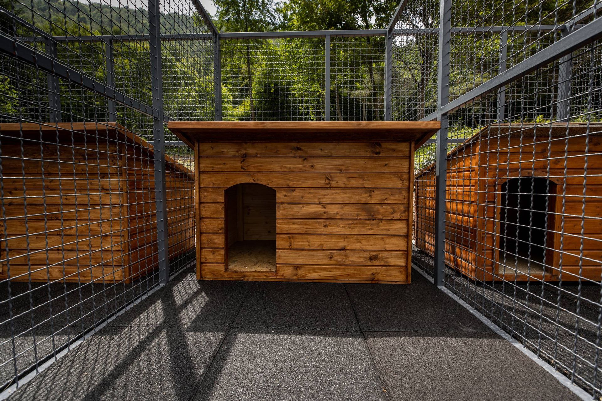 Wooden dog houses inside wire enclosures, set against a green background. Wooden dog houses inside wire enclosures, set against a green background.