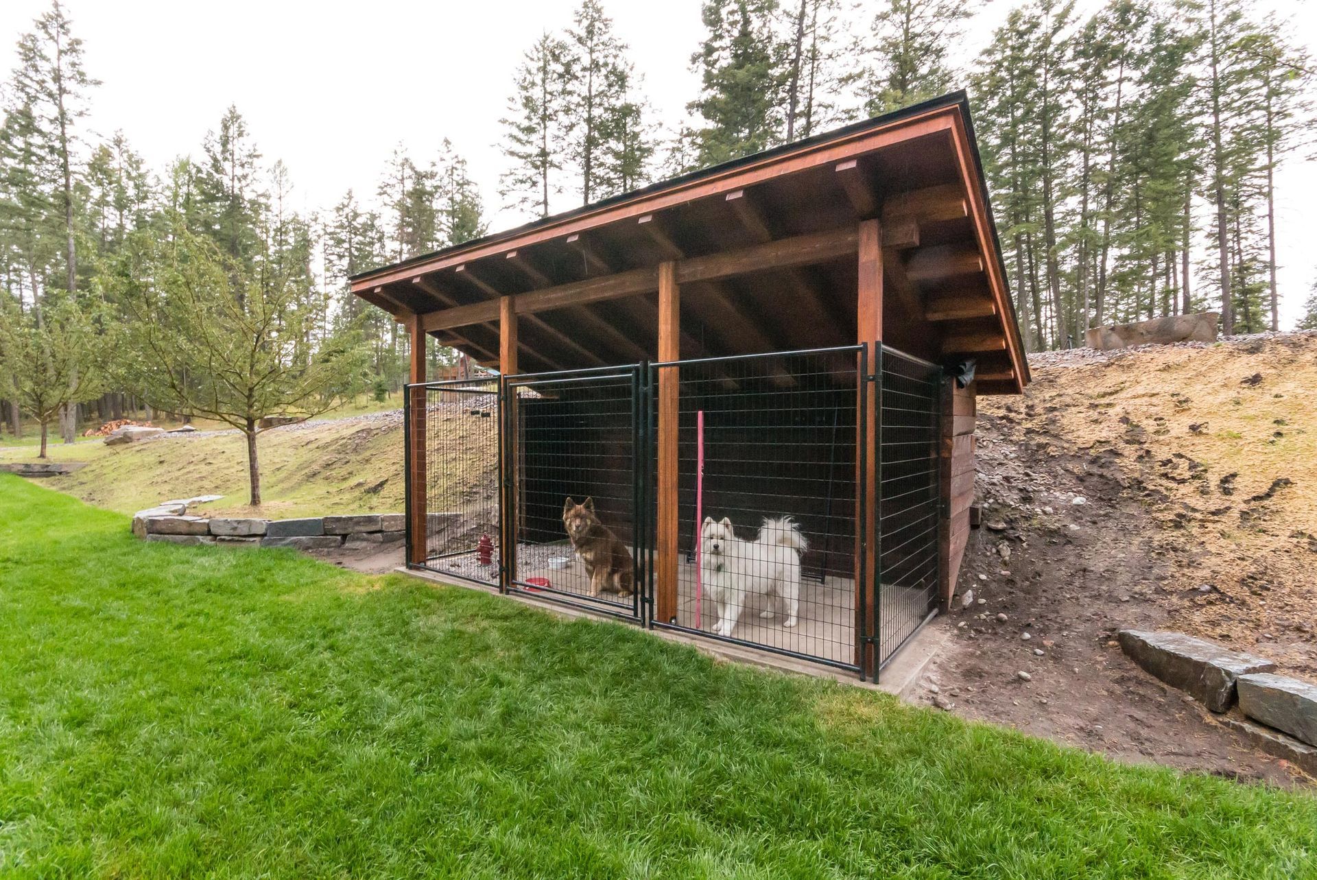 Two dogs in outdoor kennels under a wooden shelter on a grassy lawn.
