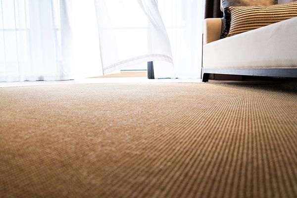 Modern living room with carpet and sofa.